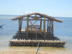 Floating Picnic Cottage